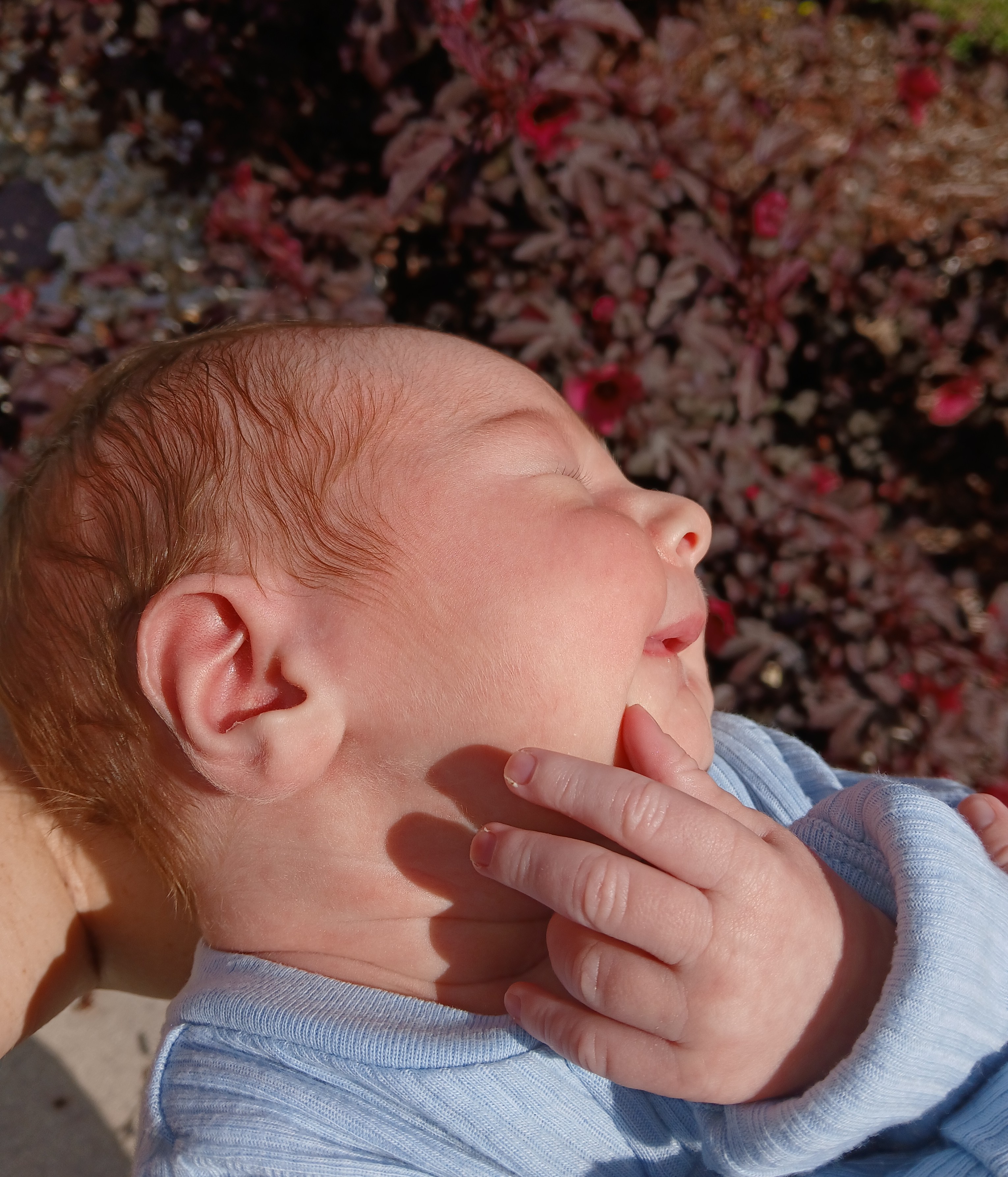 Ugh the Sun!! Mama enough!!!